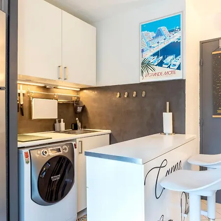 Chez Claude & Isabelle - Joli Climatise Avec Parking Et Piscine Daire La Grande Motte